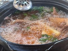 -一煲鸽