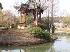 -八大山人梅湖景区