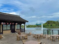 -杭州湾海上花田景区