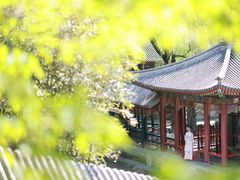 -颐和园