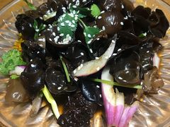 凉拌木耳-谢蟹浓·肉蟹煲(新奥店)