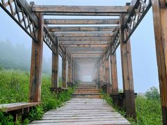 -白草畔自然风景区