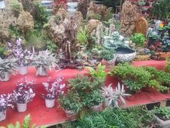 -李村大集