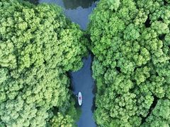 -动邦皮划艇·桨板·独木舟·团建户外运动俱乐部