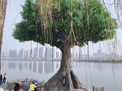 -咸阳湖景区