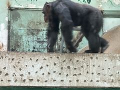 -石家庄市动物园