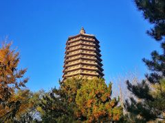 -玲珑塔公园