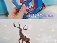 -长沙湘江冰雪世界