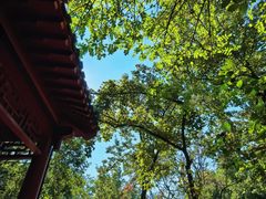 -北极阁公园