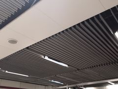 -东方体育中心(地铁站)