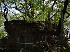 -北坞公园