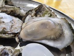 -蚝专家(北滘店)