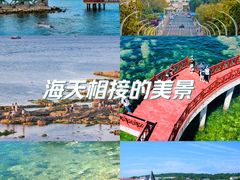 -养马岛旅游度假区