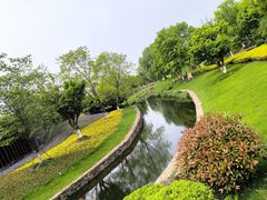 -西山漾湿地公园