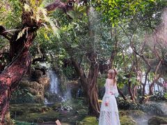 -Chom Cafe and Restaurant