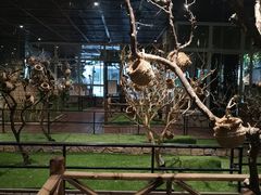 -绿色星球动物主题公园