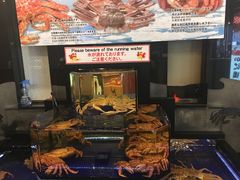 -蟹道乐(道顿堀本店)