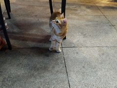 -嘉定宝龙广场