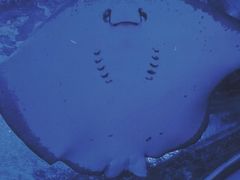 -常州海昌海洋探索馆