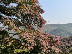 -龙道沟景区