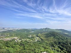 -牛首山文化旅游区