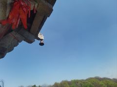 -宝通禅寺