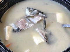 -马帮菜馆·美味野生菌