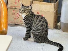 -长顺参鸡汤店(西塔总店)