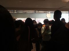 -Apple零售店(深圳益田假日广场店)