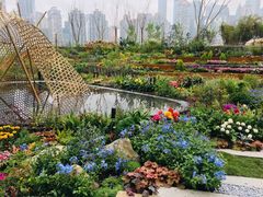 -重庆市江北嘴中央商务区中央公园