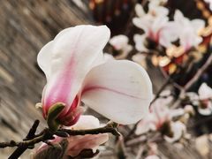 -东华门大街小区