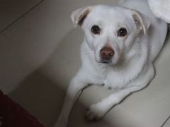 -许村蟹面(海宁许村大道店)