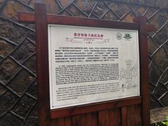 -井冈山风景名胜区-黄洋界