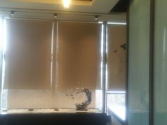 -枣子树素餐厅(铂金城店)