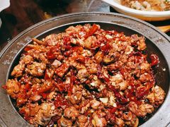 -天山醉美辣子鸡(文艺路店)