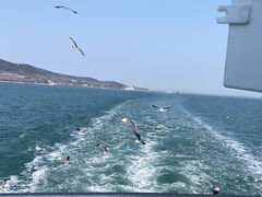 -刘公岛景区