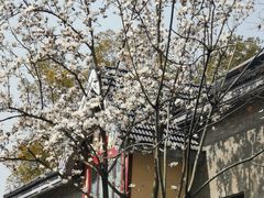 -颐和路民国时期公馆风貌区
