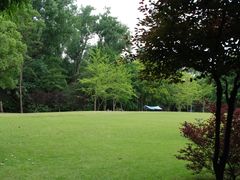 -上海滨江森林公园