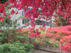 -南方医科大学南方医院(院本部)