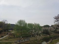 -羊山湖公园