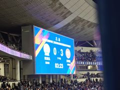 -南京奥林匹克体育中心-体育馆