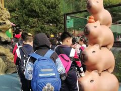 -大连森林动物园