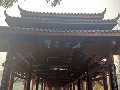-重庆彩云湖湿地公园