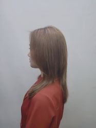 -藤野造型