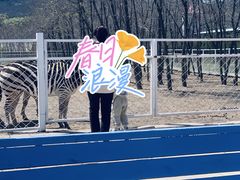 -大连铭湖国际观光牧场