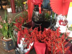 植庭花园艺中心 和平店 图片 Nanjing学习培训 大众点评网