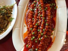 -大酒缸(高碑店文化新大街店)