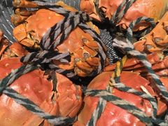 -新发展亚太JW万豪酒店·福苑咖啡厅