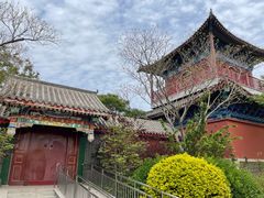 -天津妈祖文化园