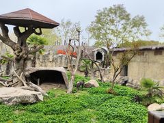 -上海野生动物园